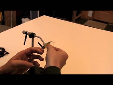 Dubbing loop