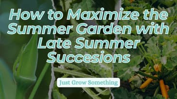 5 Heat-Loving Crops You Can Still Plant This Summer - Ep 258