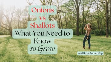Onions vs Shallots in the Kitchen and in the Garden - Ep. 287