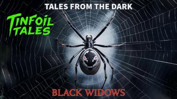Ep. 140: Black Widows