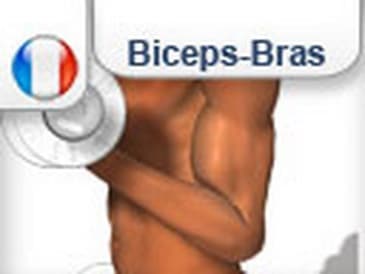 Exercice musculation des biceps