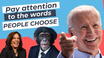 Pay Attention to the words people choose