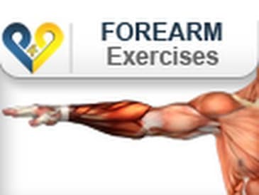 Forearm Exercises : Wrist Curls