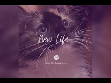 #christianity: New Life #motivation #motivational #inspiration #inspirational #bible