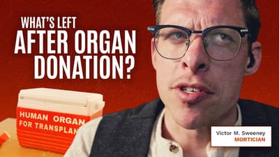 What do you stuff a body with after organ donation?