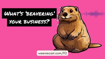 What's the beaver in your business?