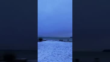 Surprise trip to Grandma #shorts #family #newyear