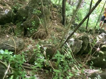 August 2021 in Costa Rica - Globe Aware Volunteer Vacation [ Part 5 ]