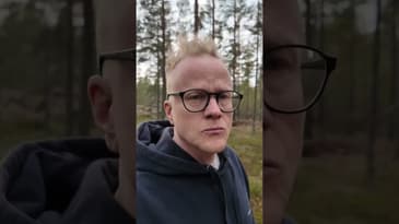Saker man tänker på i skogen