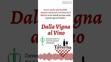 Merlot è protagonista di questa nuova puntata! Versione completo disponibile su YouTube! #podcast