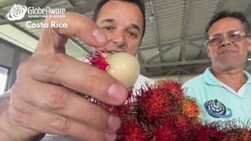 What is this fuzzy fruit!? Costa Rice with Globe Aware