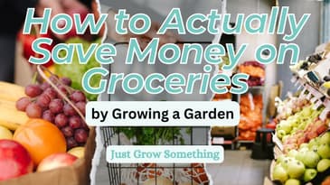 Can Gardening Actually Save You Money? - Ep. 251