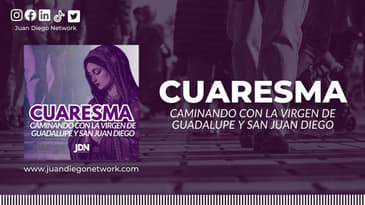 40 días de Peregrinación Espiritual con el Nican Mopohua en esta Cuaresma | Cuaresma Caminando...