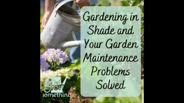 Gardening in Shade and Solving Your Garden Maintenance Problems - Ep. 196