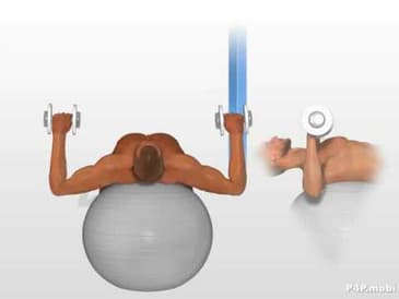 Esercizio Distensioni Con Manubri Su Pallone