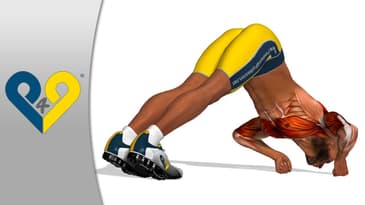 V Push Ups (with clenched fists) - Fitness exercises