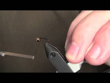 Black Zebra Midge