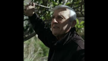 “Preach the Gospel, No Matter What Happens!”