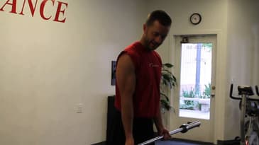 Bicep Curls - Barbell