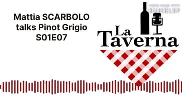 La Taverna Friuli Wine with Mattia Scarbolo from the SCARBOLO winery