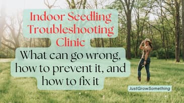 Troubleshooting Indoor Seedlings - Ep. 288