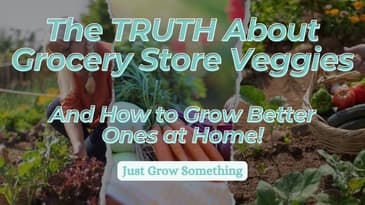 Is Homegrown Produce More Nutritious? How Your Soil Makes the Difference - Ep. 260