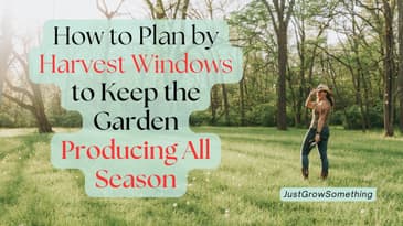 How to Keep the Garden Producing All Season - Ep. 283