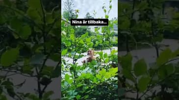 Uschpaddan med @ninahjelmkvist