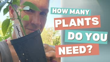 How Many Plants Do You Need for Your Garden? - Ep. 232