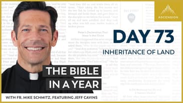 Day 73: Inheritance of Land — The Bible in a Year (with Fr. Mike Schmitz)