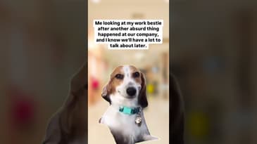 Work BS gossip time! 👍 #workhumor #fridayfun #careerlaughs