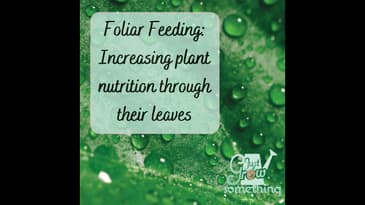 Ep. 139 - Foliar Feeding: Increasing Plant Nutrition Through Their Leaves