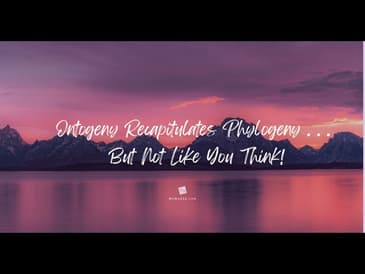 Ontogeny Recapitulates Phylogeny . . . But NOT Like You Think!