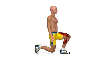 Esercizi gambe e glutei: Forward Lunges