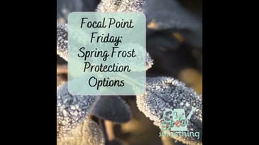 Focal Point Friday: Spring Frost Protection Options
