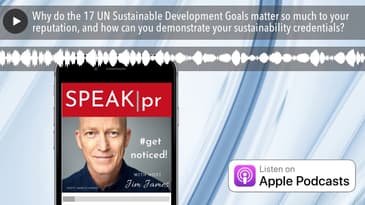 Why do the 17 UN Sustainable Development Goals matter so much to your reputation, and how can you d