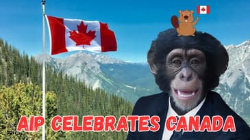 Average Intelligence Podcast's Celebration of Canada 🫡🇨🇦