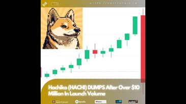 #Hachiko ($HACHI) DUMPS After Over $10 Million In Launch Volume (OOC)