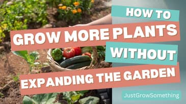 Getting More from the Garden: Succession Planting and Intercropping - Ep. 233