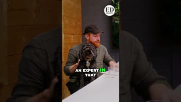 Interbeing Explained: Zen, Wolves, and One Big Connected Life #shorts