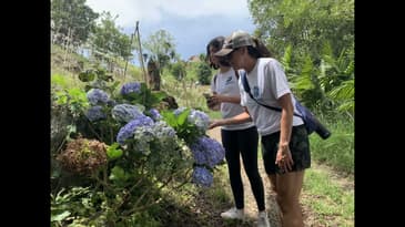 August 2021 in Costa Rica - Globe Aware Volunteer Vacation [ Part 4]