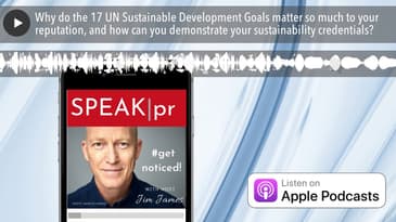 Why do the 17 UN Sustainable Development Goals matter so much to your reputation, and how can you d