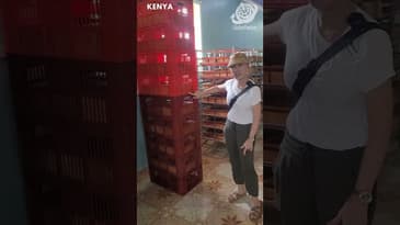 Welcome To Our Kenyan Bakery! (Tour Clip 3) A Summer Guide to Globe Aware's Kenya Program