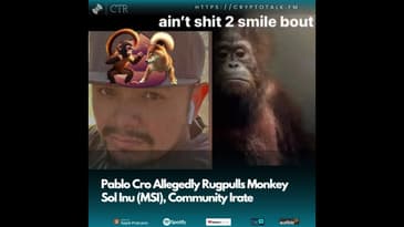 Pablo Cro Allegedly Rugpulls Monkey Sol Inu ($MSI), Community Irate