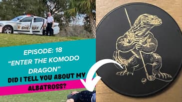 Komodo Dragon Enters Shed