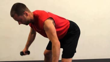 Bent Over Reverse Flies