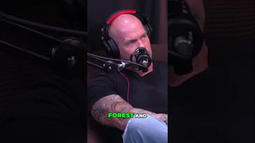 Nature's Healing: Ecotherapy for Mental Health and Wellbeing