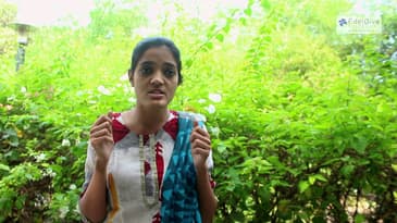 Edelweiss Shraddha  Shringarpure