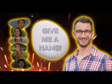 Survivor Strategy: Going to Rocks