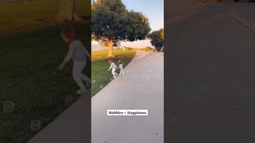 Bubbles are Everything! #shorts #enjoyinglife  #bubbles